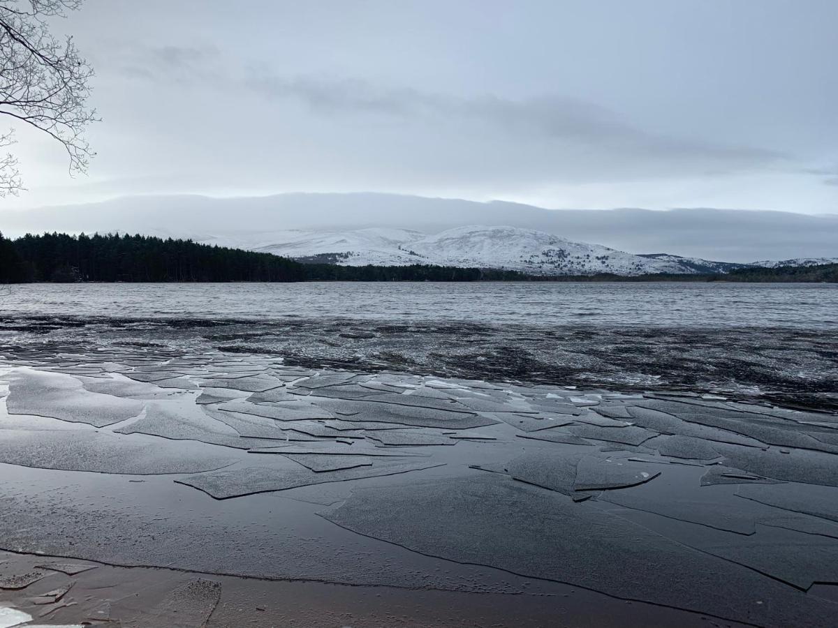 The One - Chalet In The Cairngorms Boat of Garten Exteriör bild