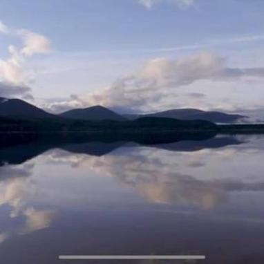 The One - Chalet In The Cairngorms Boat of Garten Exteriör bild