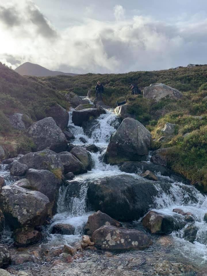 The One - Chalet In The Cairngorms Boat of Garten Exteriör bild